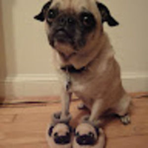 Meet your Posher, Chelsea